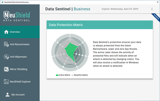 NeuShield Data Sentinel